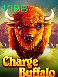 Descubra o Mundo Dinâmico de ChargeBuffalo e a Estratégia de 12BB