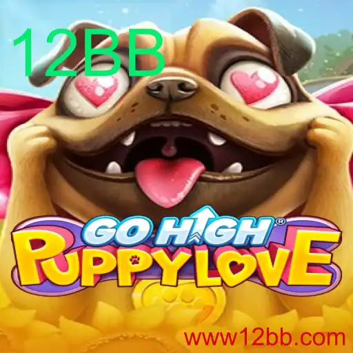GoHighPuppyLove: Um Mergulho no Jogo e Suas Regras com 12BB